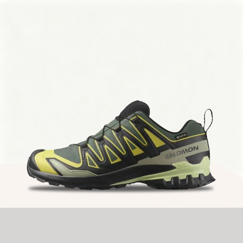 Salomon XA Pro 3D V9 GTX: Retr – Salomon Shoes Xa Pro 3D Bewertung und Preis
