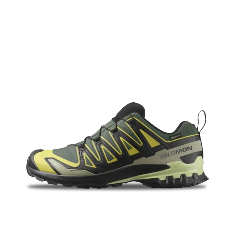 Salomon XA Pro 3D V9 GTX: Retr – Salomon Shoes Xa Pro 3D Bewertung und Preis