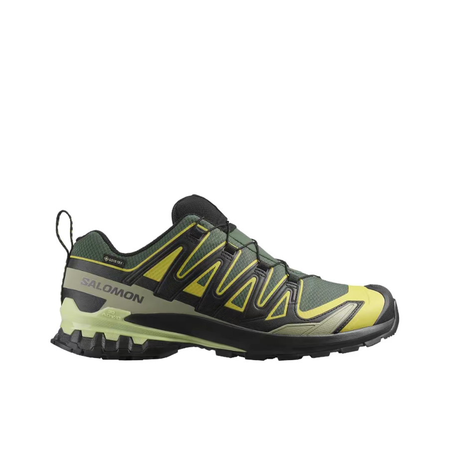 Salomon XA Pro 3D V9 GTX: Retr – Salomon Shoes Xa Pro 3D Bewertung und Preis