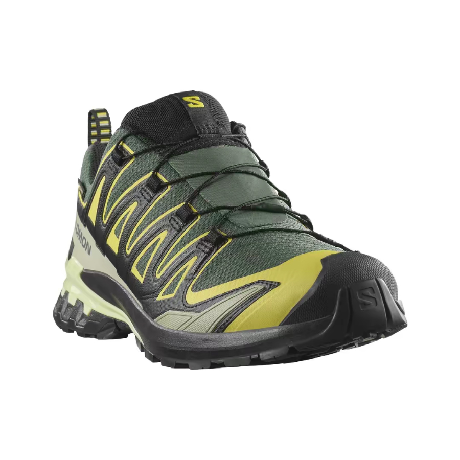 Salomon XA Pro 3D V9 GTX: Retr – Salomon Shoes Xa Pro 3D Bewertung und Preis