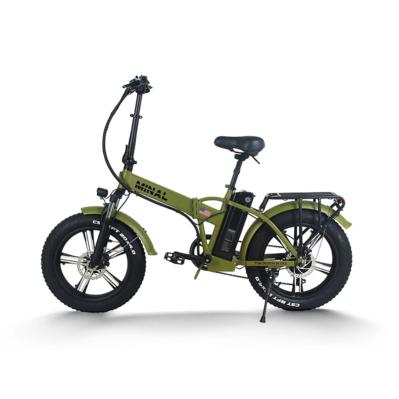 48V 350W 10.5Ah FTC200 E-Bike  – Cycling Commute Gear Bewertung und Preis