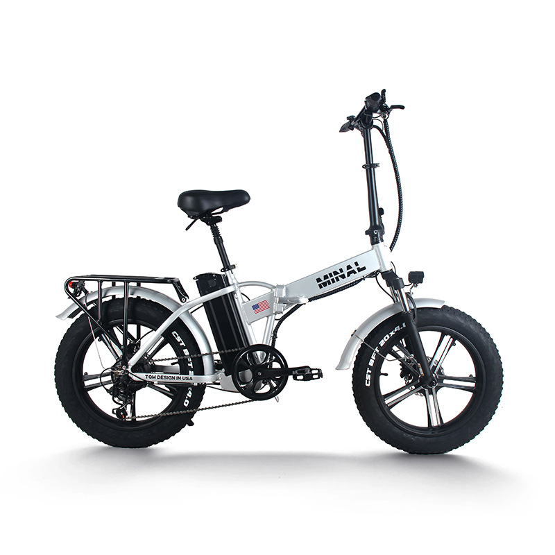 48V 350W 10.5Ah FTC200 E-Bike  – Cycling Commute Gear Bewertung und Preis