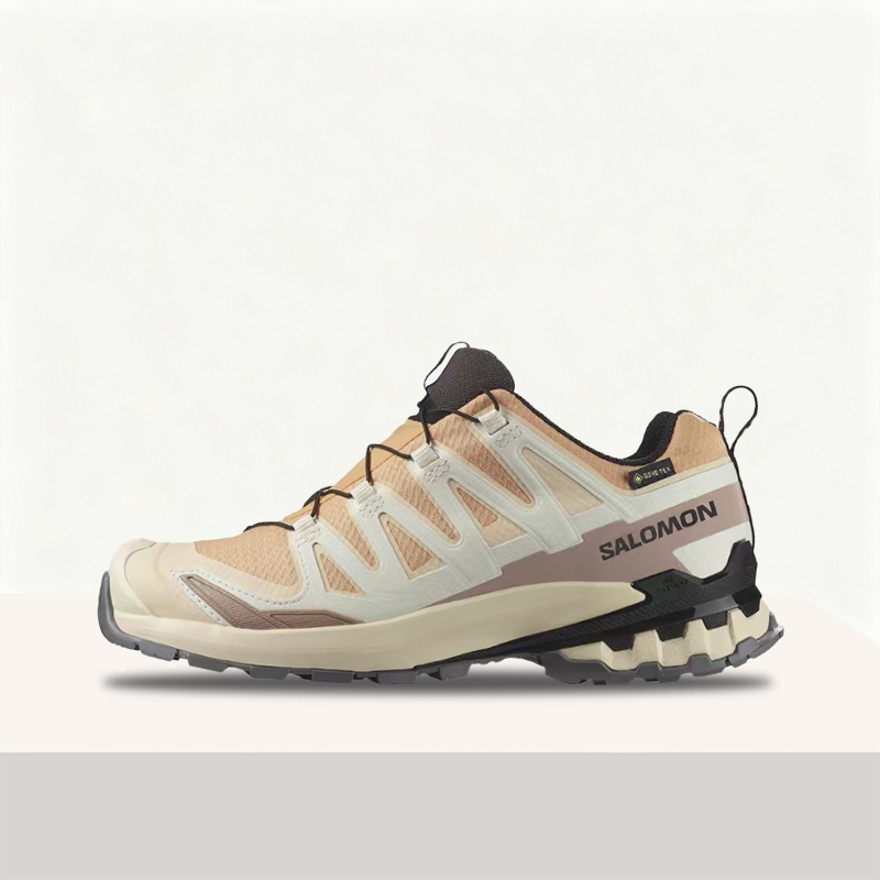 Salomon XA Pro 3D V9 GTX: Ein  – Salomon Shoes Xa Pro 3D Bewertung und Preis