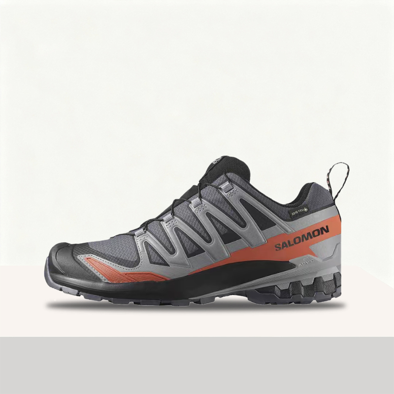 Salomon XA Pro 3D V9 GTX: Stil – Salomon Shoes Xa Pro 3D Bewertung und Preis