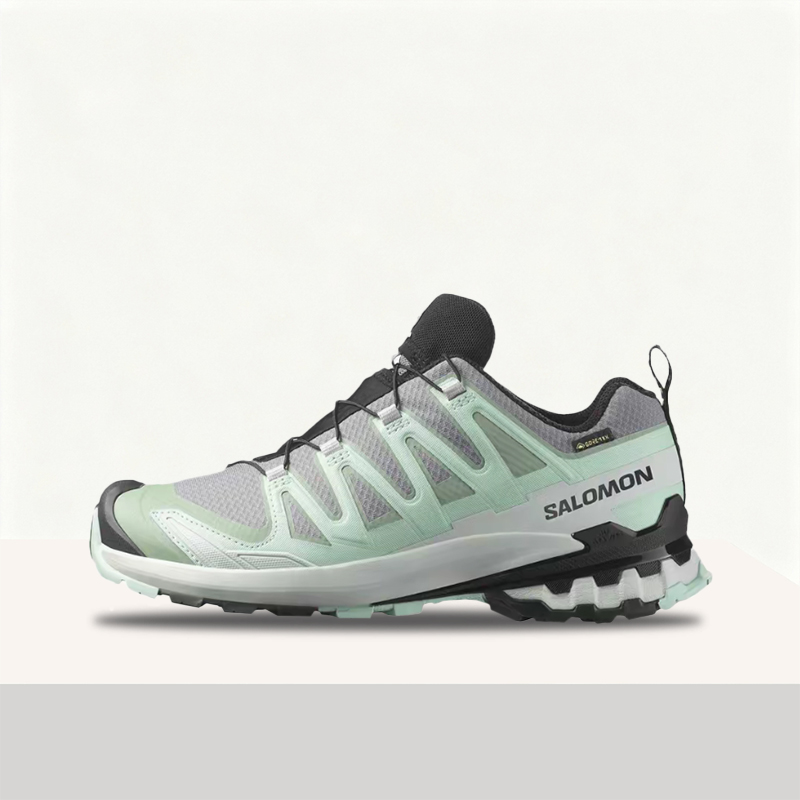 Salomon XA Pro 3D V9 GTX: Styl – Salomon Shoes Xa Pro 3D Bewertung und Preis