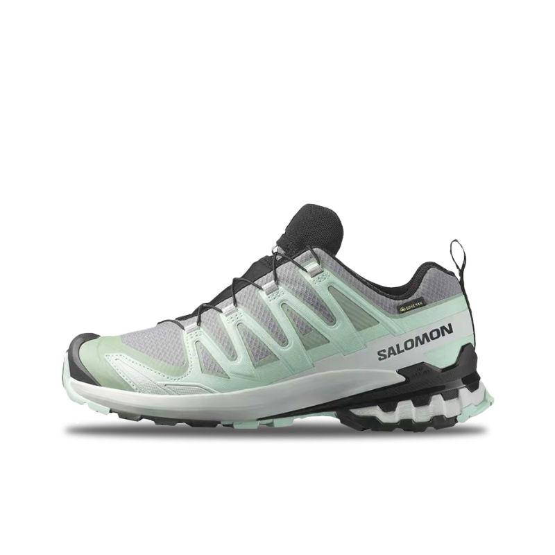 Salomon XA Pro 3D V9 GTX: Styl – Salomon Shoes Xa Pro 3D Bewertung und Preis