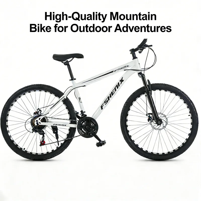 Schneeweiß Speichenrad Mountai – Cycling Commute Gear Bewertung und Preis