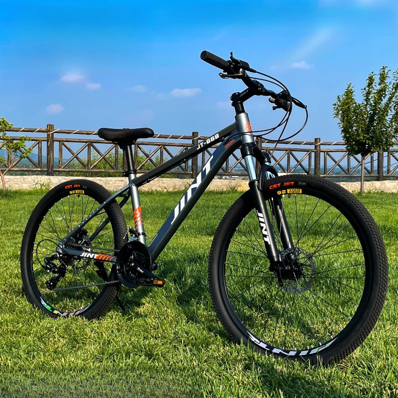 Großhandel Aluminiumlegierung  – Commuter Biking Bewertung und Preis